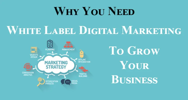 White Label Digital Marketing Services